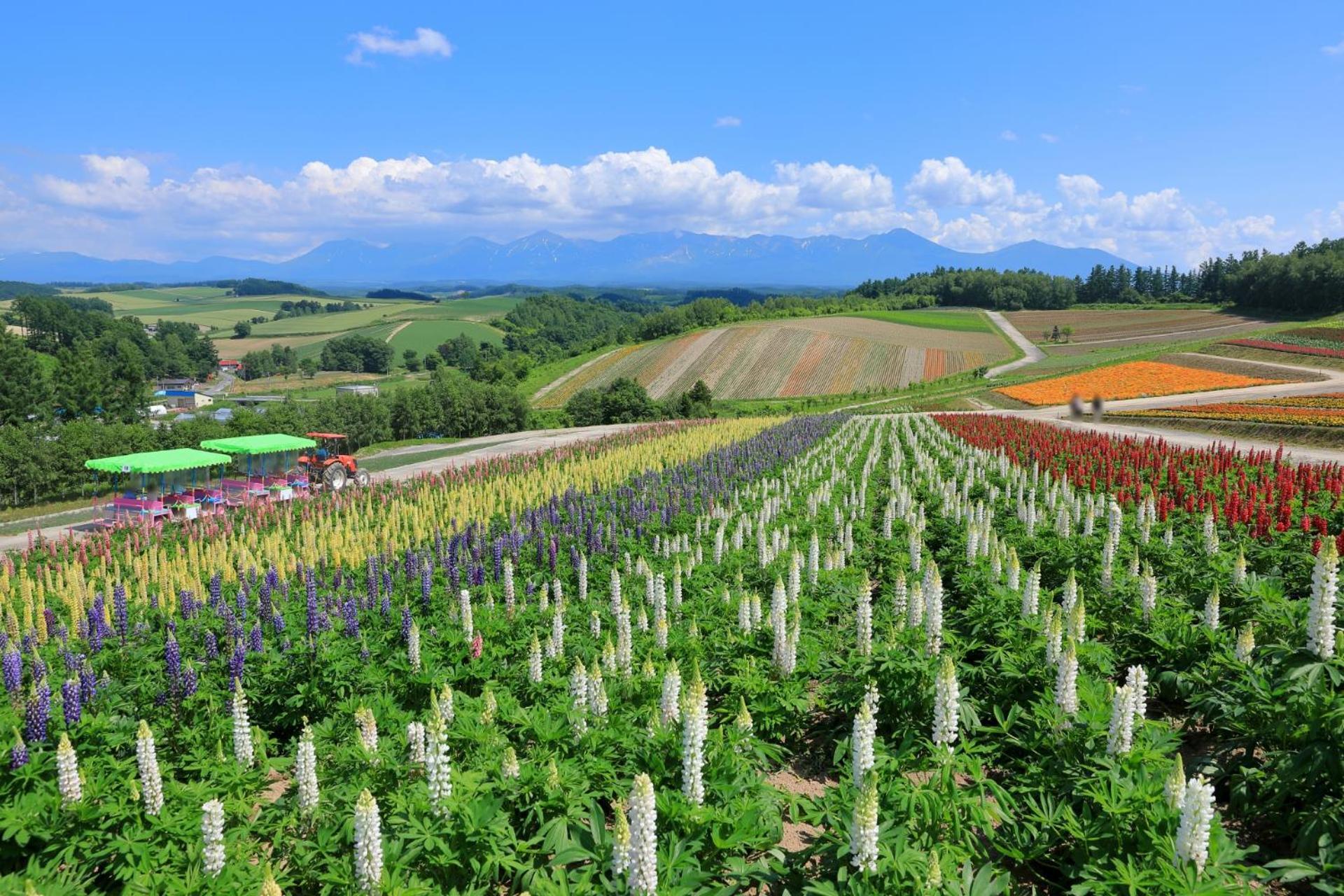 Hotel Edel Warme Furano Luaran gambar